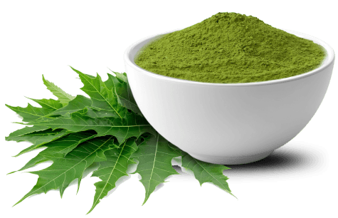 Neem Bowl